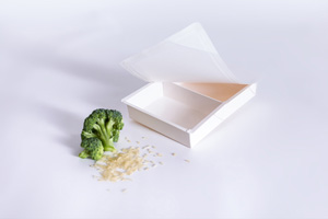 Faltschale für TK-Produkte mit Portioniertrennung und Deckel